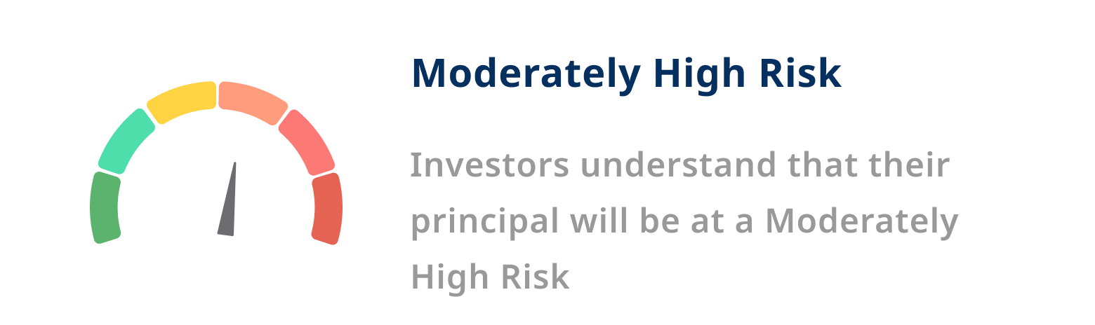 riskometer